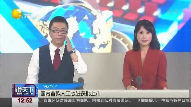 国内首款人工心脏获批上市,可提供部分或全部泵血功能