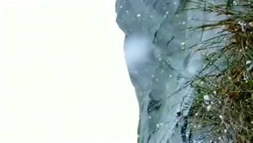 Thumbplayer Poster Plugin Image