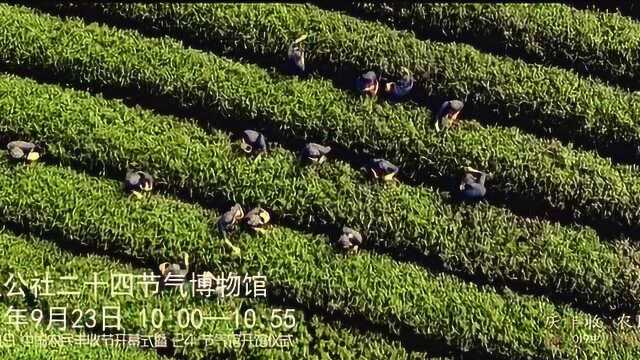 丰收节ⷮŠ合肥 宣传片2