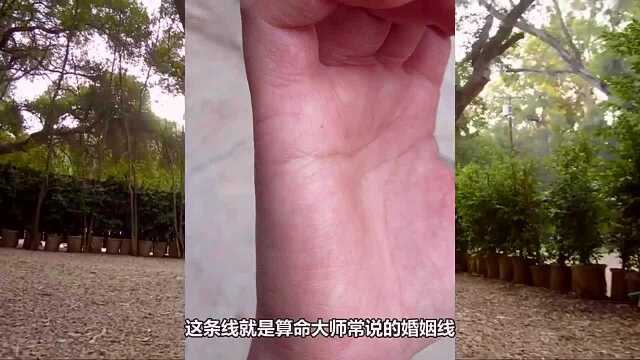 手掌这个位置上,有几条线就有几段婚姻?大师说得准吗?