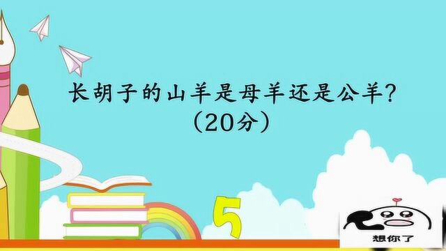 开心动脑筋:长胡子的山羊是母羊还是公羊