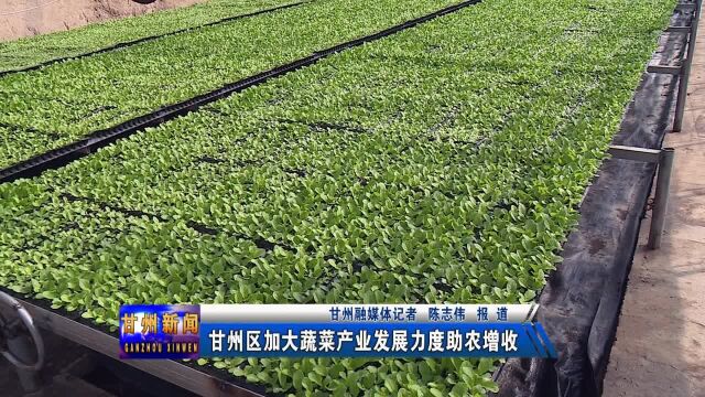 甘州区加大蔬菜产业发展力度助农增收