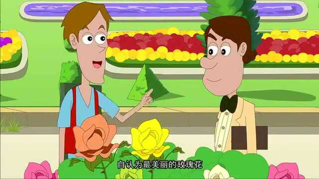 第二朵玫瑰花花被制成了干花,永久的保存了起来