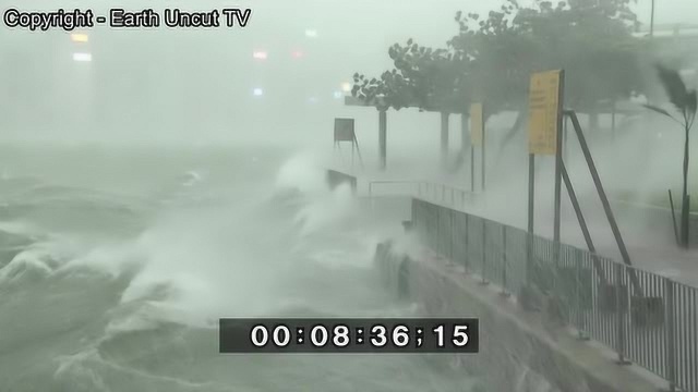 风暴潮水浸和强风台风哈托连击香港影视素材