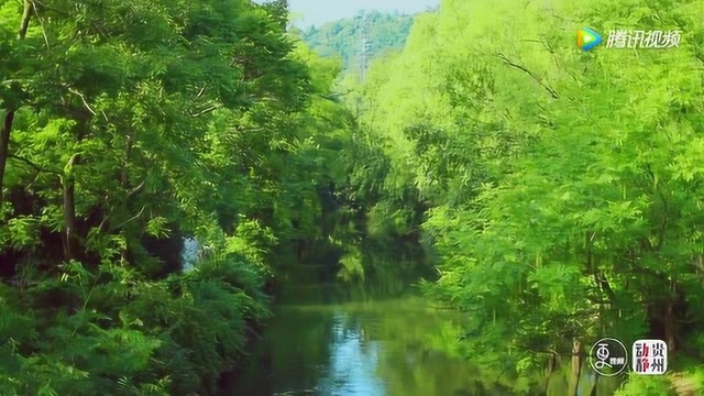 护水千万条,行动第一条——贵阳“护水卫士”向市民发出行动倡议