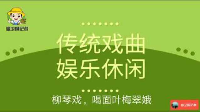 传统戏曲娱乐休闲,柳琴戏,喝面叶梅翠娥