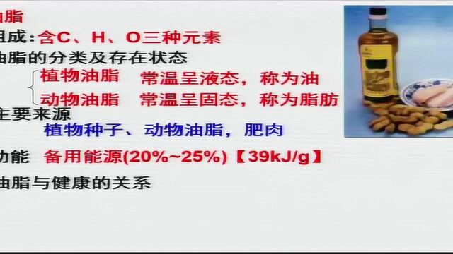 3.25九年级 化学 人类重要的营养物质(2)