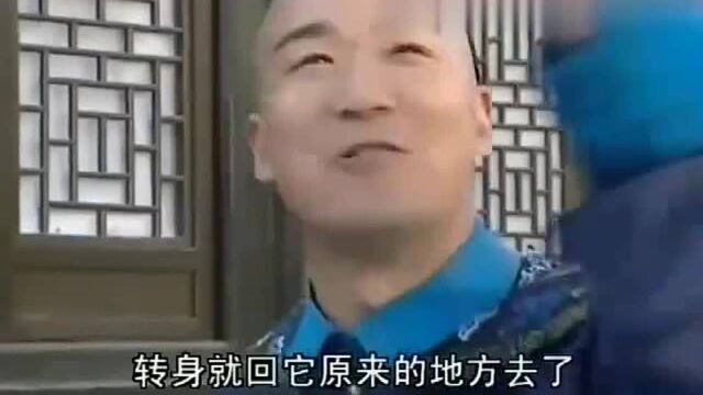 电视剧:纪晓岚都开始烦和珅了,不是冤家不碰头,又开始斗嘴