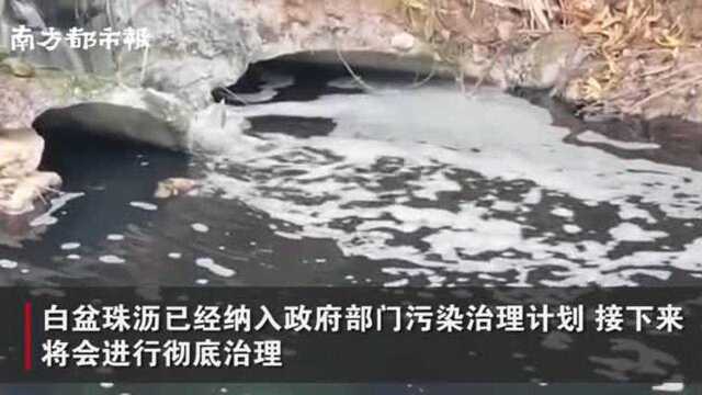 惠州市小金口现“黑河”恶臭难闻,环保部门介入查处