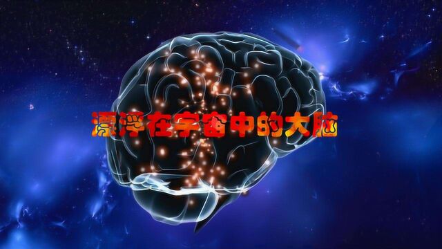 可能出现在宇宙中的玻尔兹曼大脑,意味着我们看到的世界并不真实