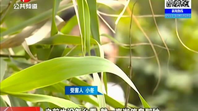 天长:特大网络诈骗案告破 12名嫌犯落网 涉案资金高达上亿元