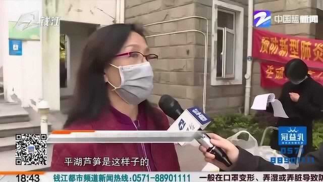 社区合伙人第四款助农产品 平湖芦笋 为保好品质 不得不涨价了