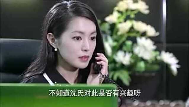 丁佳慧想保住在沈氏的地位,自作聪明想拿下代理商的机会