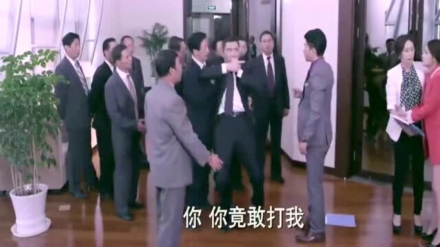 霸道总裁为了保护沈长清,当众殴打恶毒岳父潘伟森,太解气了!