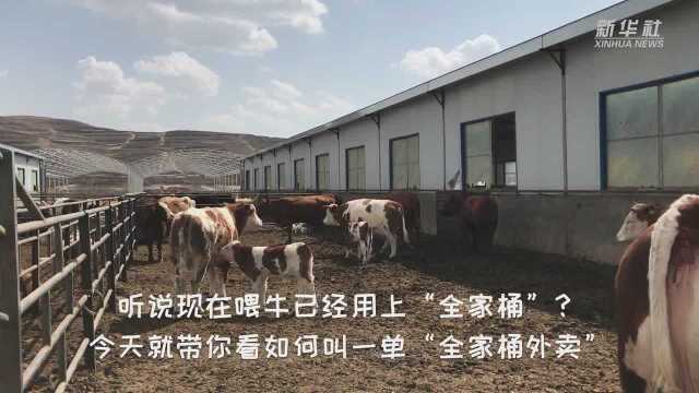 宁夏固原:机械化养殖 “全家桶”喂牛