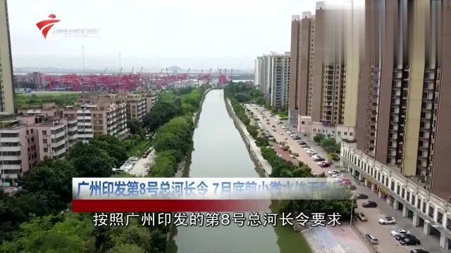 广州印发第8号总河长令 7月底前小微水体无黑臭