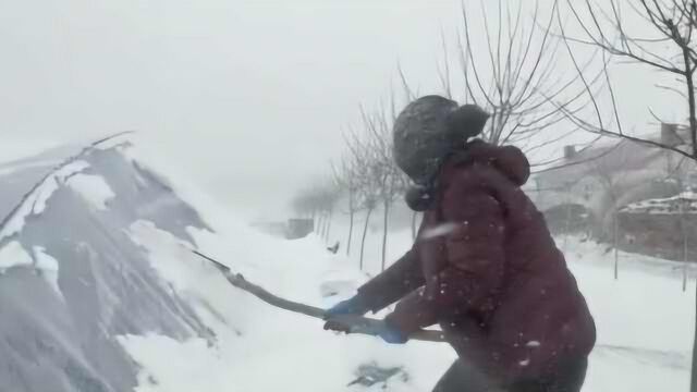 黑龙江多地暴雪断崖式降温:车辆被冰封,农民风雪中清理大棚