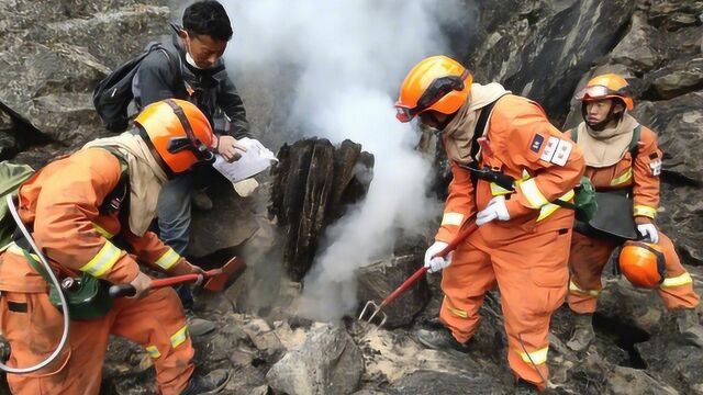 西藏林芝巴宜区森林大火全线明火已灭 起火原因火灭后十日内出结果