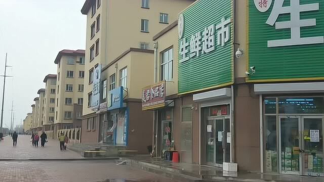 黑龙江鹤岗市白菜价房产聚集地,100多栋楼,3万一套500一平看看配套