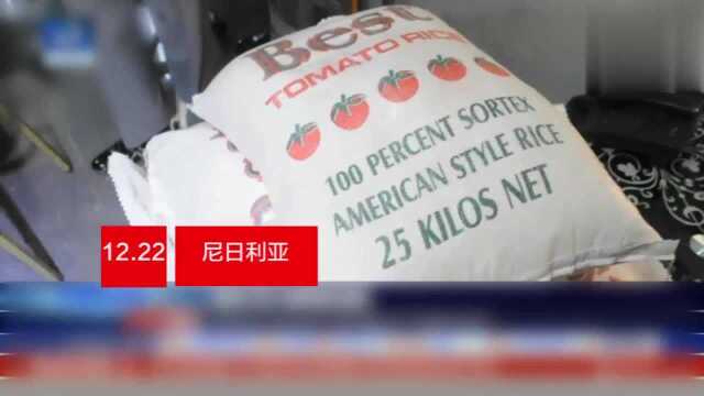 尼日利亚查获25吨“塑料大米”有化学品味道