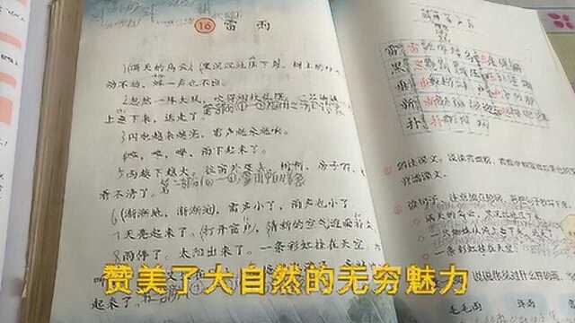 今天教孩子学习二年级语文下册《雷雨》这篇课文 的课后题