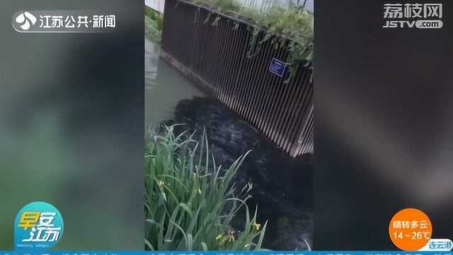 清水河变“墨水河”?雨天大量污水流入珍珠河 现场气味刺鼻!