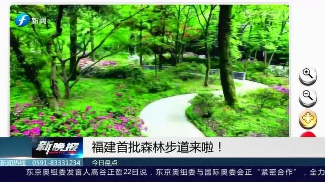 好消息!福建首批森林步道来啦 预计还将贯穿整个福建!