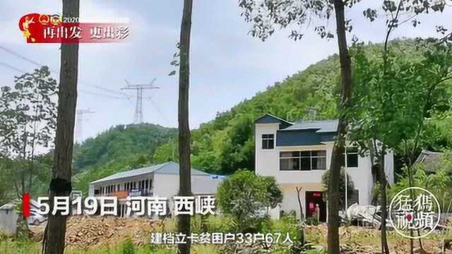 决胜最后的贫困村| 南阳西峡五朵山村:香菇美味,脱贫决心更坚