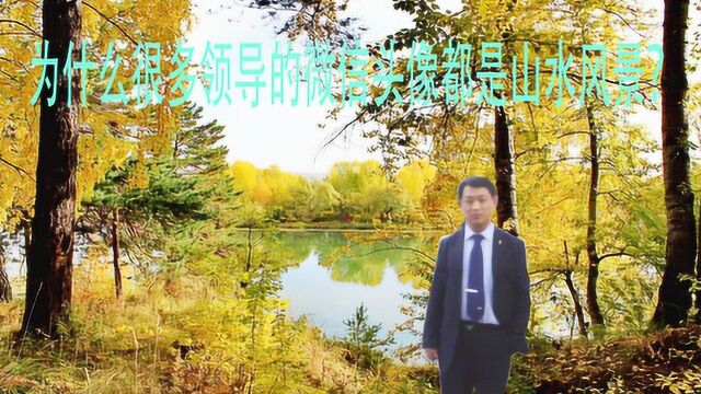 为什么很多领导的微信头像都是山水风景?