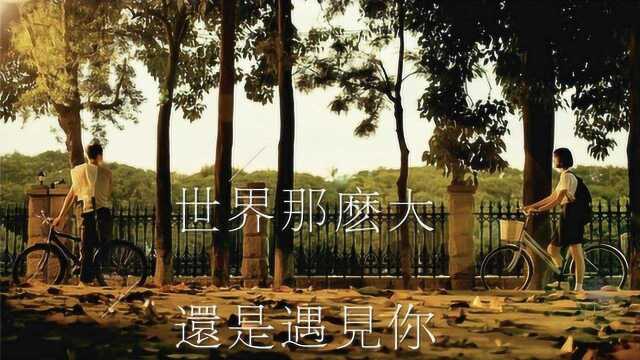 抖音上超级热门歌曲《世界这么大还是遇见你》旋律轻快,感人好听