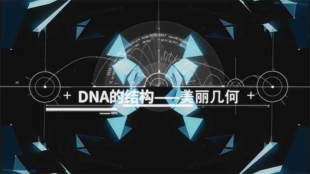 【生物大师 高中重点】DNA的结构——美丽几何