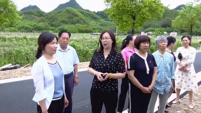 市妇联领导到我县调研美丽家园示范村项目化建设工作