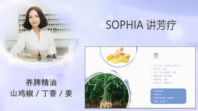 「芳灸儿」导师 SOPHIA讲芳疗20:养脾精油山鸡椒/丁香/姜