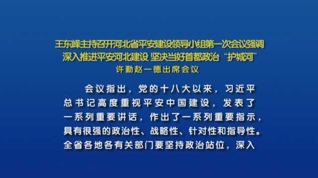 王东峰主持召开河北省平安建设领导小组第一次会议