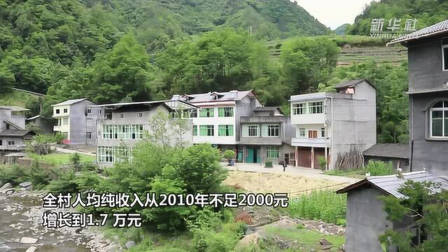 重庆城口:民房变民宿 山货促增收