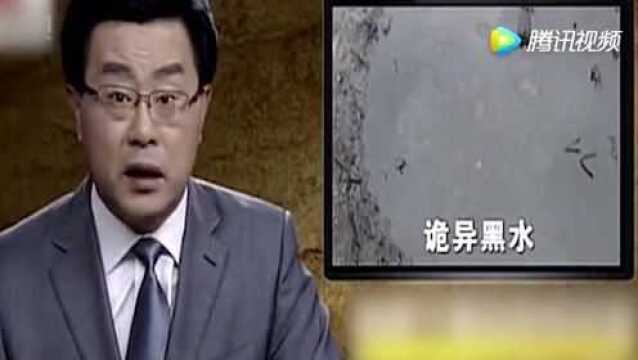 看世界:偏远戈壁滩突然发现地下冒出无价之宝,专家闻讯赶来开天价收回