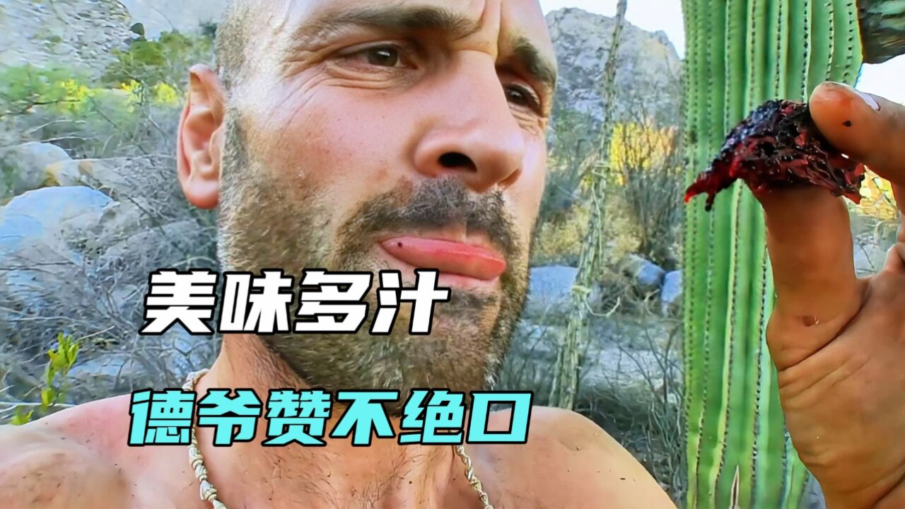 仙人掌的果实,酸甜可口,德爷吃了赞不绝口|纪录片