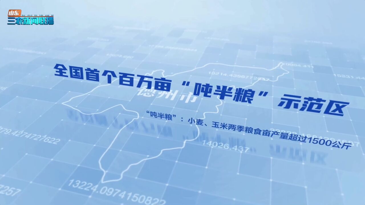 打造乡村振兴齐鲁样板|德州建成全国首个百万亩“吨半粮”示范区