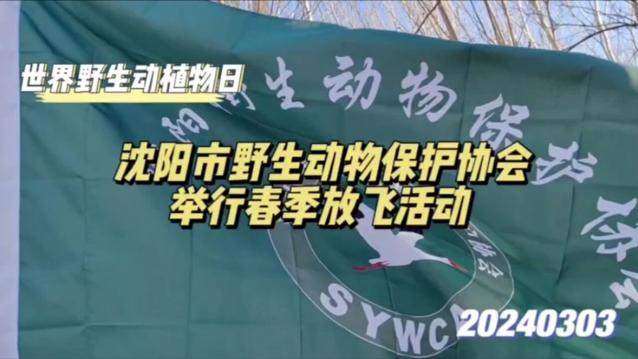 世界野生动植物日,沈阳市野生动物保护协会举行春季放飞活动