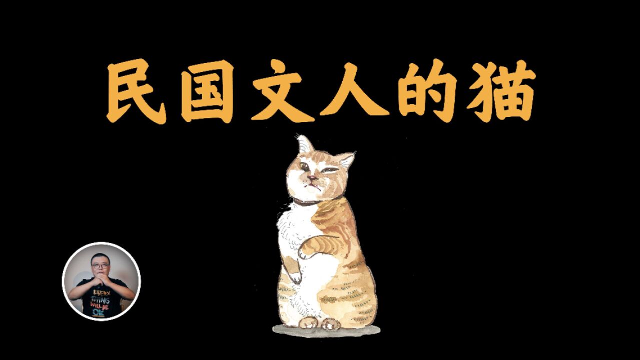 民国文人有多爱猫?钱钟书帮猫打架,鲁迅发表厌猫言论,惨遭围攻