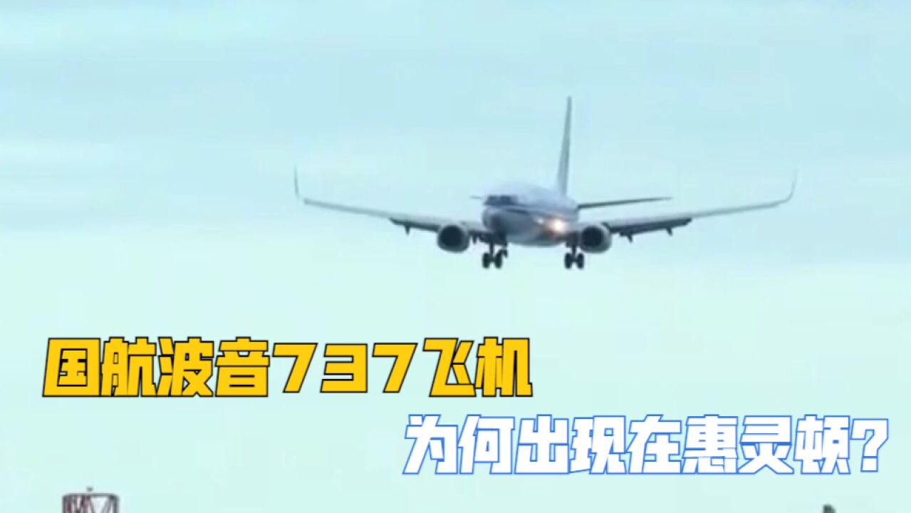 国航波音737飞机为何出现在惠灵顿?