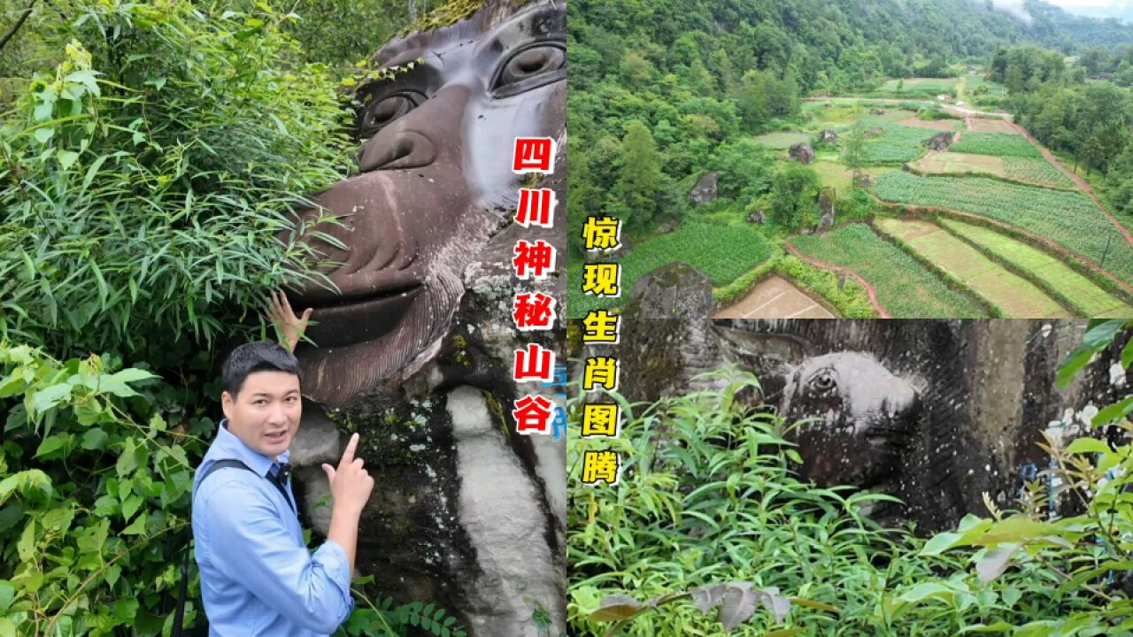 四川神秘山谷大发现,巨石惊现生肖图腾,快看看有你的属相吗?