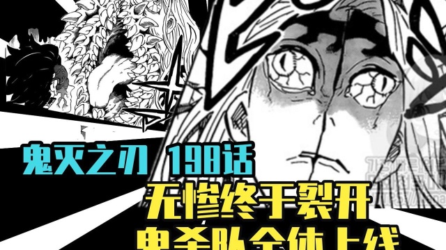 【灭鬼之刃漫画解说】漫画198 无惨终于裂开 鬼杀队全体上线