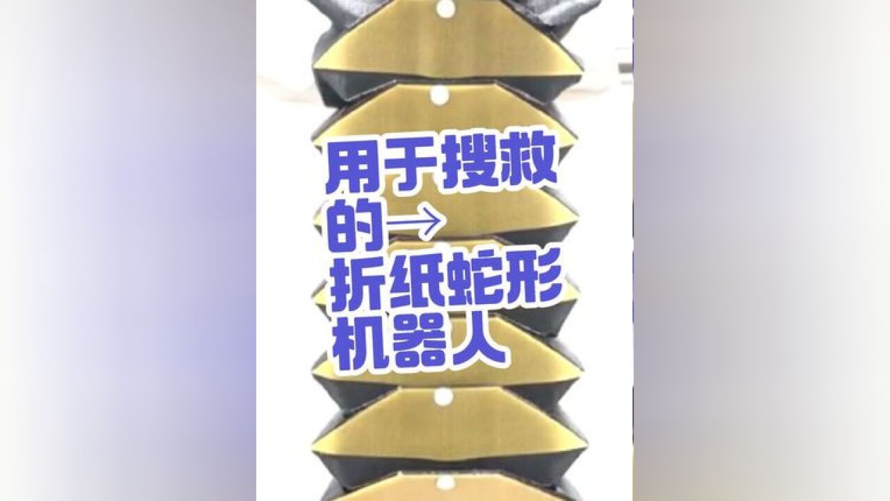 ...将织物和纸张制作成了蛇形折纸机器人,通过内置气囊来驱动机器人运动,和蛇类一样,这种机器人的腹侧的结构比背侧更软,也更加灵活,同时,这种专...