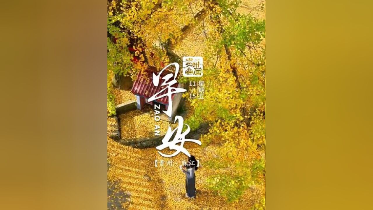 11月15日,星期五.“银”为有你,三生有“杏”,愿你有爱相伴,寻得生活的诗意与远方.