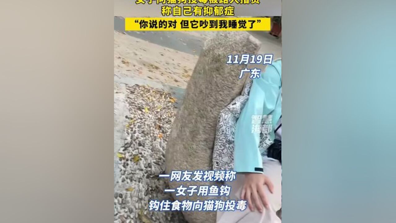 女子向猫狗投毒被路人指责,称自己有抑郁症,“你说的对,但它吵到我睡觉了”