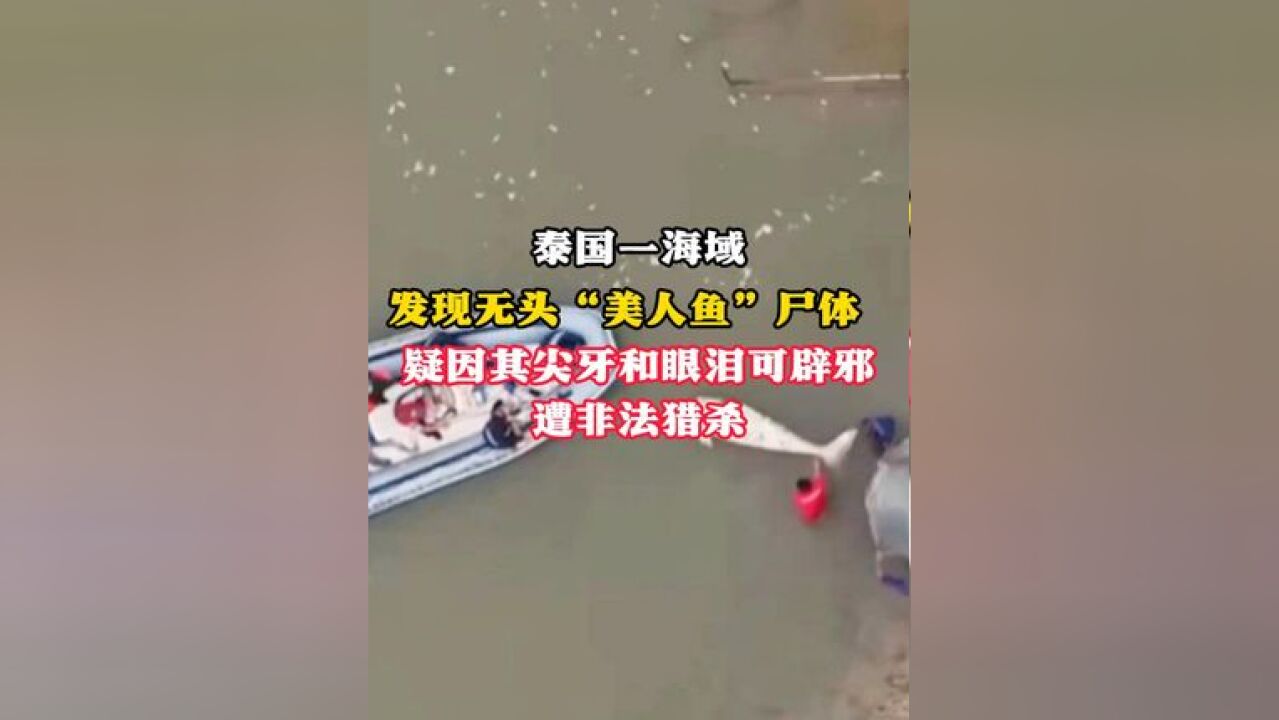 泰国一海域 发现无头“美人鱼”尸体 疑因其尖牙和眼泪可辟邪遭非法猎杀