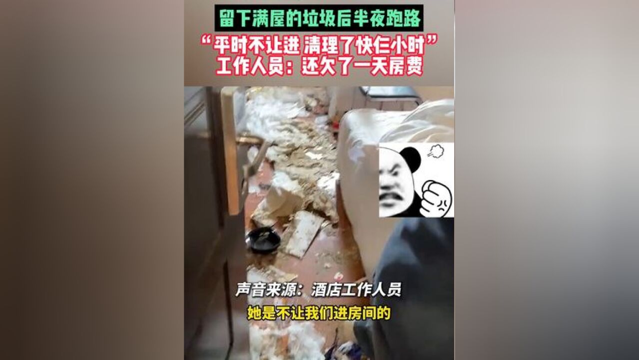 俩女孩带狗住半个月宾馆,留下满屋的垃圾后半夜跑路,“平时不让进,清理了快仨小时”,工作人员:还欠了一天房费