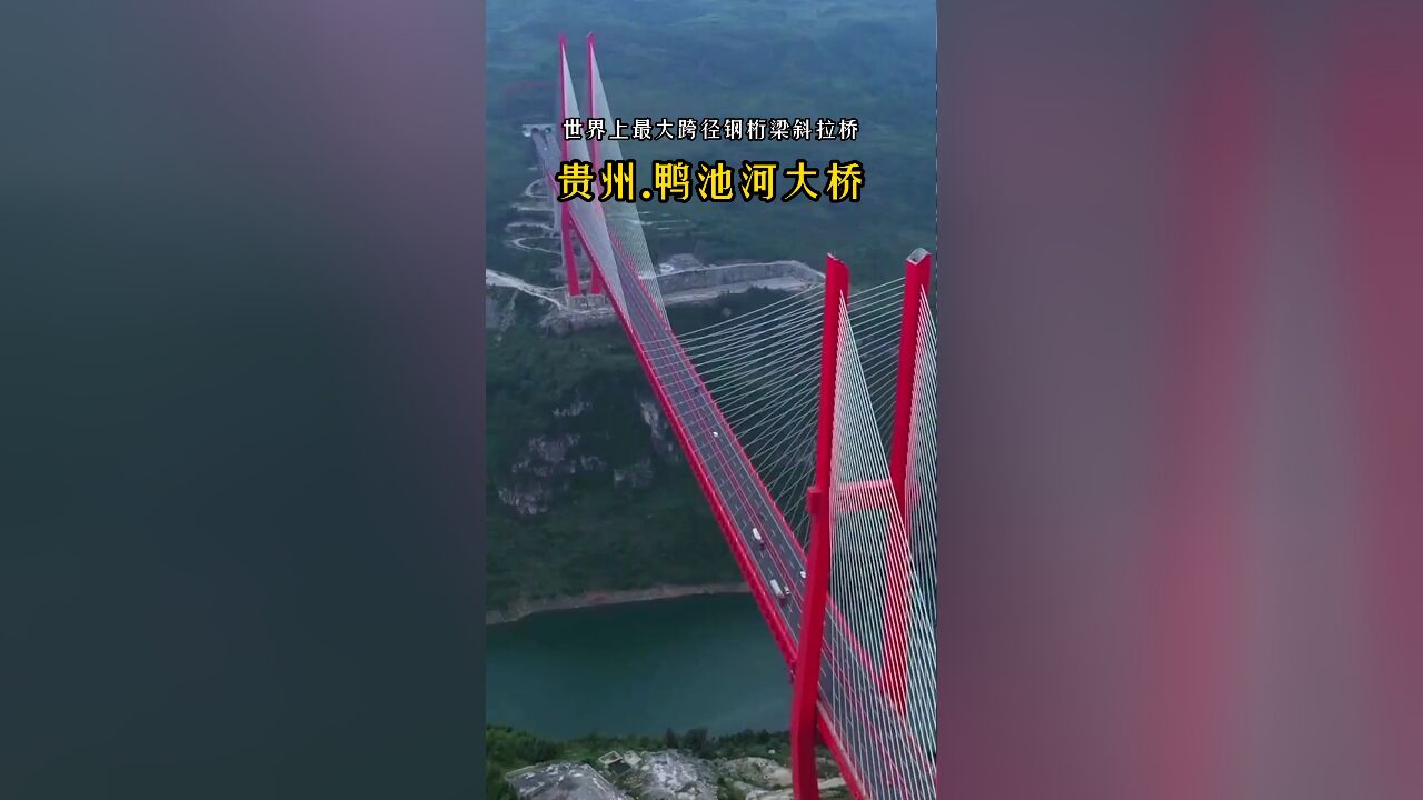 世界桥梁看中国,中国桥梁看贵州:鸭池河大桥荣获国际最高奖项