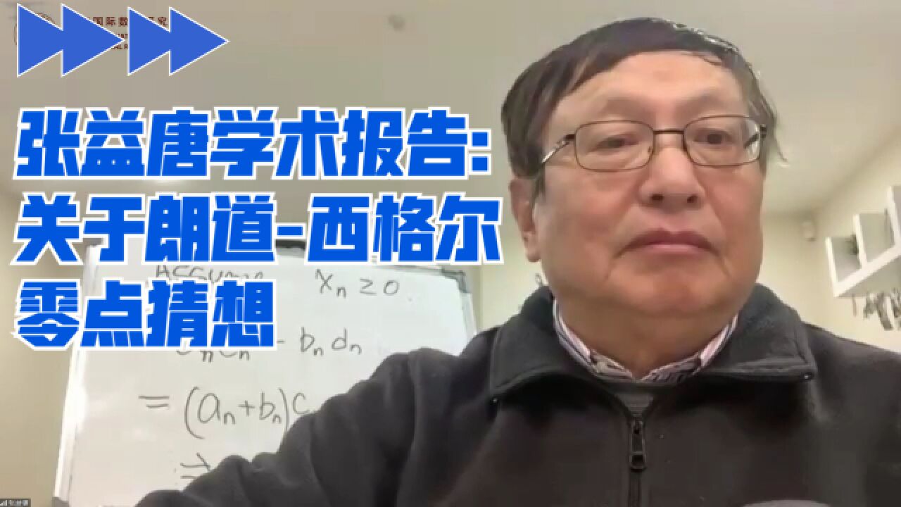 【最新完整版】张益唐教授学术报告:关于朗道西格尔零点猜想|在线讲解推导过程